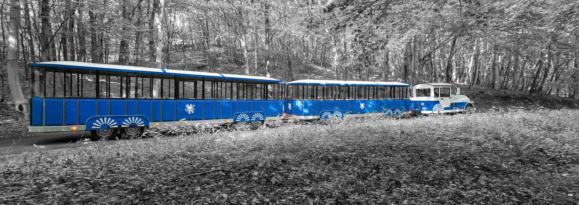 Sightseeing Trains Header Image